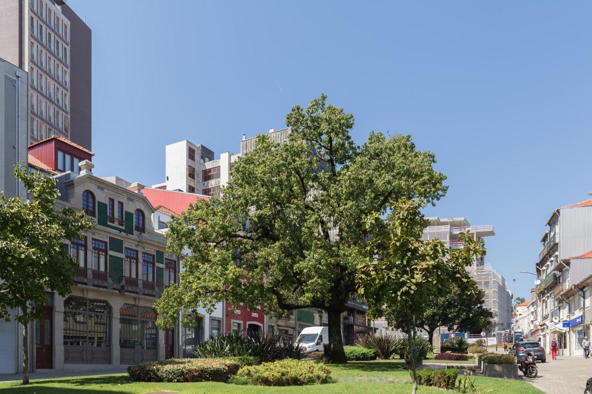 Qp Apartments Trindade Porto Dış mekan fotoğraf